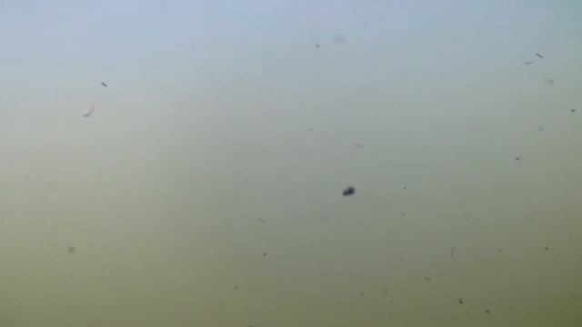Подводное видео смотреть онлайн