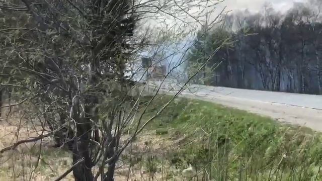 Лесной пожар тушат у Тунайчи в Корсаковском районе смотреть онлайн