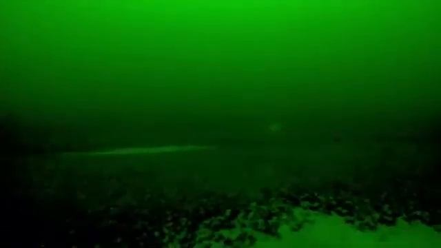 lake trout strike recorded 100 feet down on downrigger. смотреть онлайн