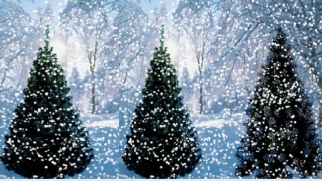 "Метель метёт!" Леонтьева Л.А.ст.Новорождественская смотреть онлайн