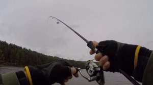 Лучшая проводка для пассивного окуня. Секретная проводка для окуня.