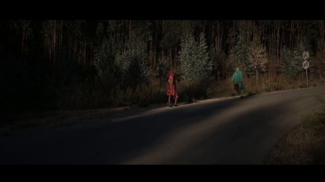 Zanibar Aliens - The Stalker (videoclip) смотреть онлайн
