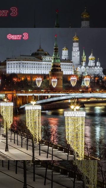 #schoolfacts #животные #факты #москва смотреть онлайн