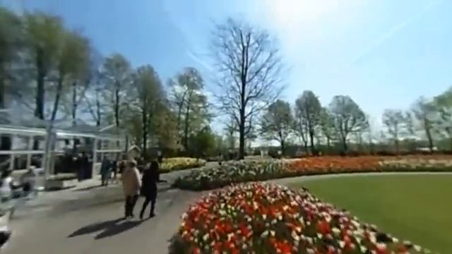 Відео 360° Градусів | Франція: Париж, Прованс | 5 частина | Феєрія Мандрів смотреть онлайн