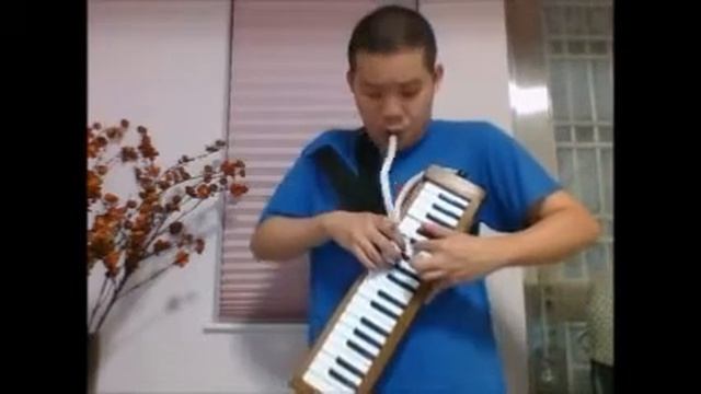 Naruto "Sadness and Sorrow" for melodica solo смотреть онлайн