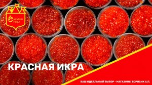 Эксперт рассказала о видах красной икры