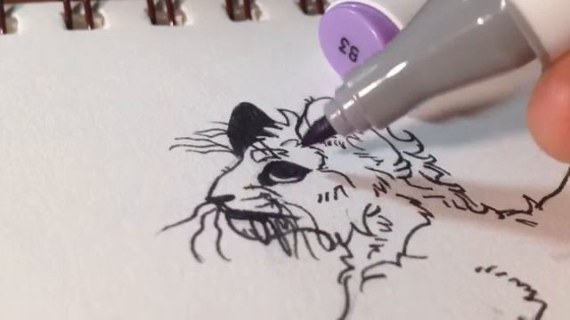 Drawing Purplepelt || Purplepelt смотреть онлайн
