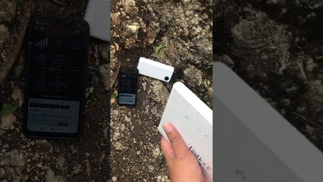 @Dante Parabolic Alien Antenna Testing смотреть онлайн