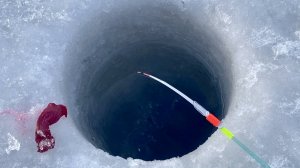 НАСАДИЛ...ЭТО...ДУМАЛ, ОНА не ВЛЕЗЕТ в ЛУНКУ! Кивок прёт в глухозимье. Зимняя рыбалка