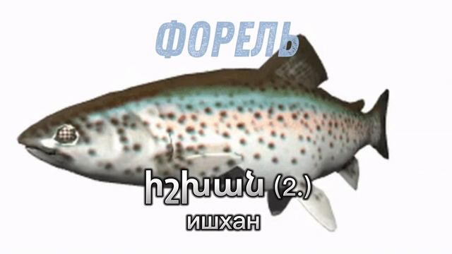 АРМЯНСКИЙ АЛФАВИТ | ԱՅԲՈՒԲԵՆ|Իի | Ии смотреть онлайн