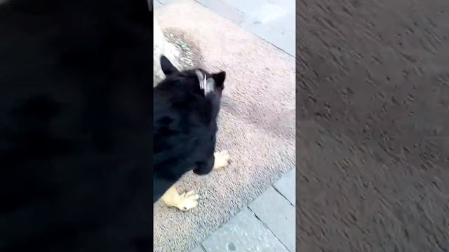 Ça devient très très difficile pour lény смотреть онлайн