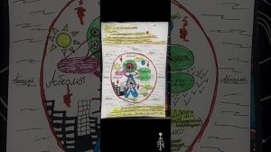 Выйди за границы своих эмоций и убеждений, ты находишься за ними.