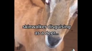 КТО ТАКИЕ СКИНВОКЕРЫ? | Страшные интернет легенды №7 | СОМБРИ