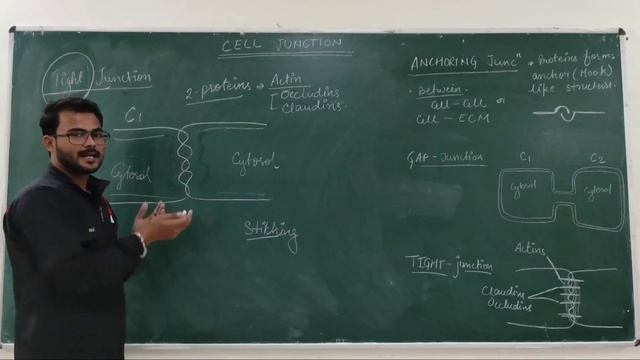 Cell Junction || B.Pharm || Unit-1 || Human anatomy & Physiology #HAP смотреть онлайн