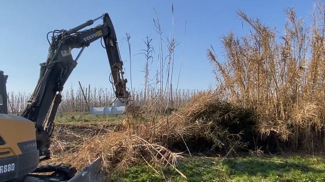 Новинка 2025! Экскаватор Volvo с косилкой мульчером NIUBO DEX42 смотреть онлайн