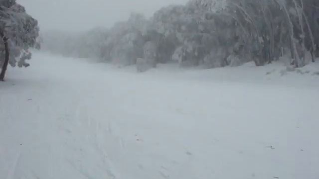 Solomon Slam Dunk Run смотреть онлайн