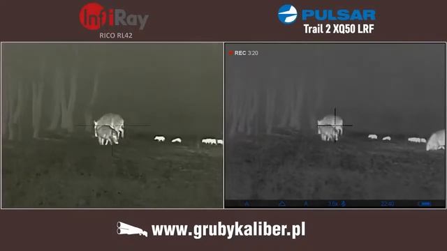 InfiRay Rico RL42 vs Pulsar Trail 2 XQ50 LRF смотреть онлайн