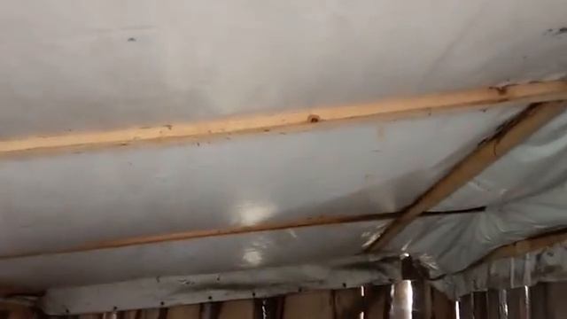 №26 Групповое содержание телят, наш способ - самый бюджетный вариант смотреть онлайн