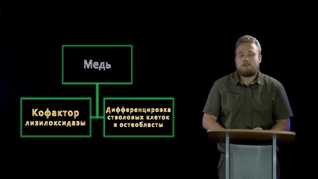 12 Питание при деминерализующих заболеваниях костной ткани остеопороз и их диетологическая профилакт смотреть онлайн