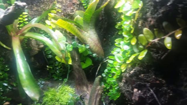 18 inch EXO CUBE PT.3 (The Growth) смотреть онлайн