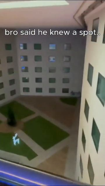 Hotel vazio: um liminal space melancólico смотреть онлайн