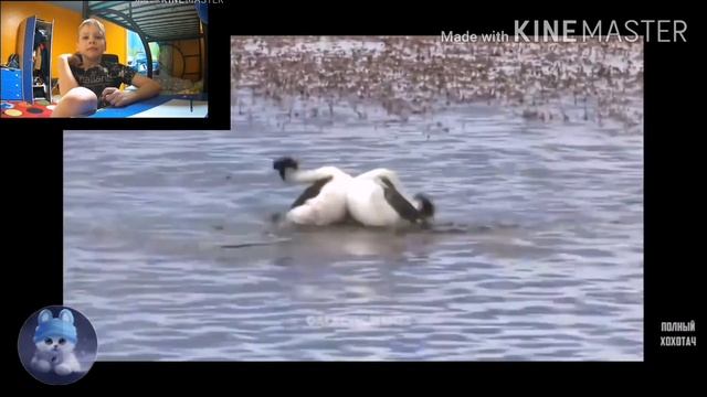 600 секунд смеха! От полный хохотач! смотреть онлайн