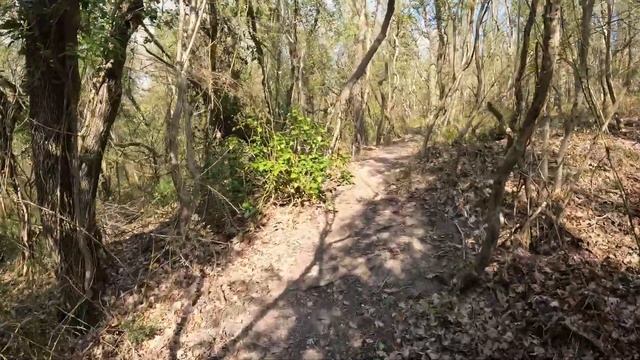 Бамбуковый лес в Геленджике смотреть онлайн