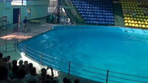 Дельфинарий в Небуге