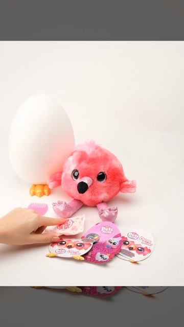 pets alive birds (9537) смотреть онлайн