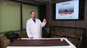 Сауна и прижигание в Нуга Бест Голод В.М.