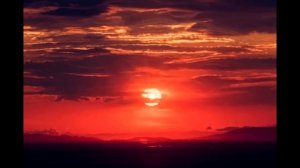 [1 Hour Loop] Ark Patrol - Let Go (instrumental) Slowed & Reverb (432Hz)