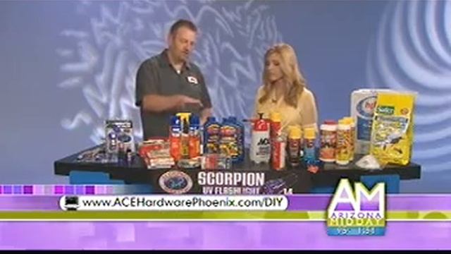 ACE Hardware Phoenix & Channel 12 Midday Segment: Home Scorpion Control смотреть онлайн