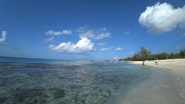 What life is like in the Cayman Islands смотреть онлайн
