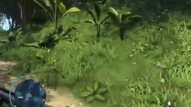 Прохождение Far Cry 3 Спасти Оливера #11