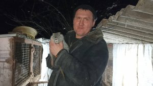 Кто такие НУТРИИ? ЧТО о них пишут в интернете? 15.01.25