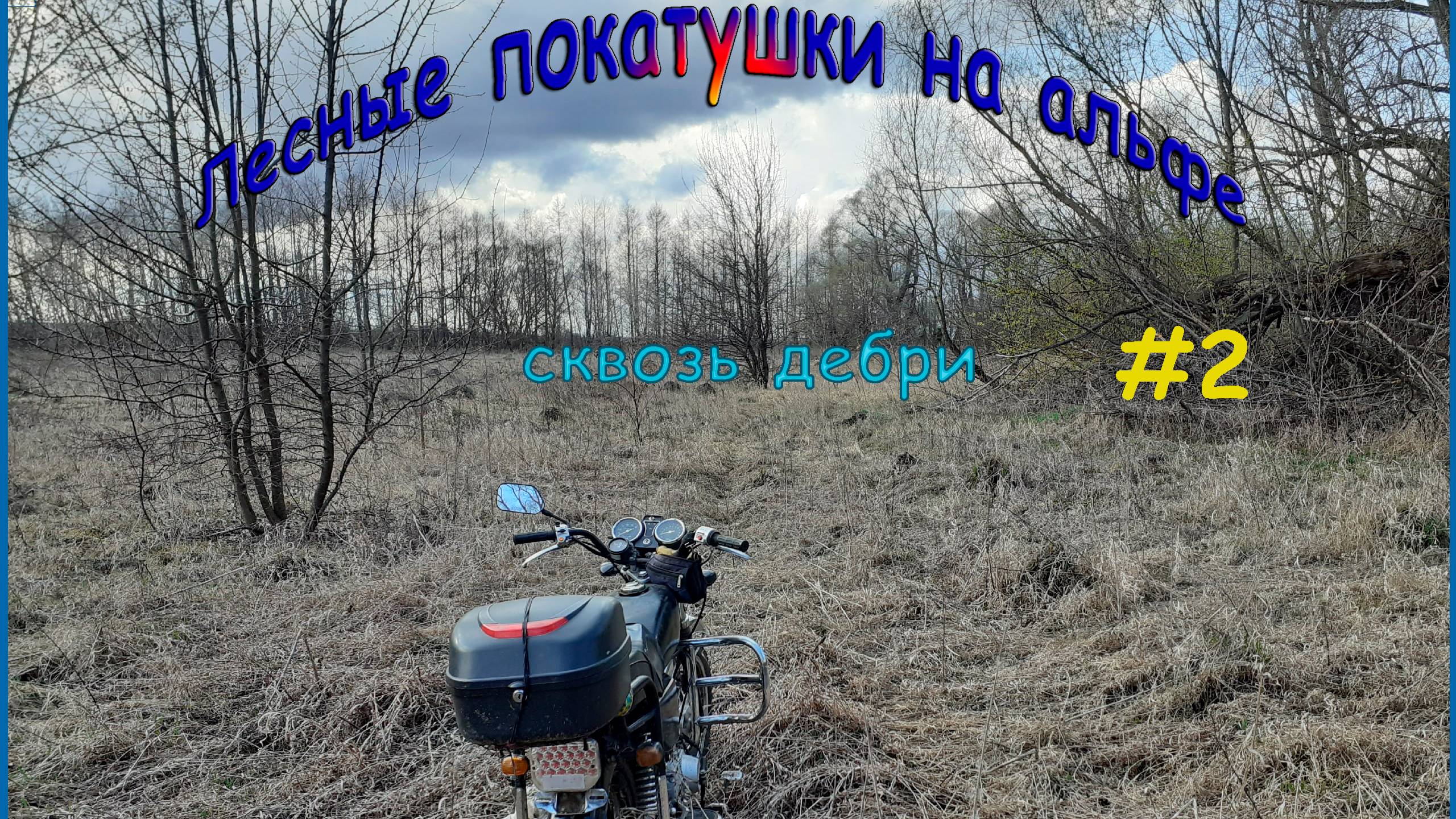 Лесные покатушки на альфе #2 смотреть онлайн