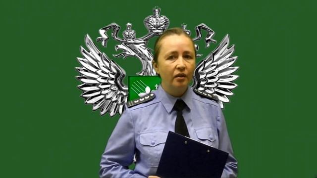 Управление Россельхознадзора по Амурской области информирует. смотреть онлайн