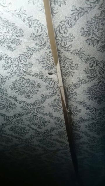 Это не березовый сок :-(( 1L0342 смотреть онлайн