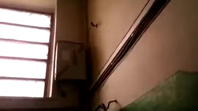 Рославль 12 Микраен ул Красноармейская 13 Дудина кв 8 и соседи поставили видеонаблюдение в подьезде смотреть онлайн