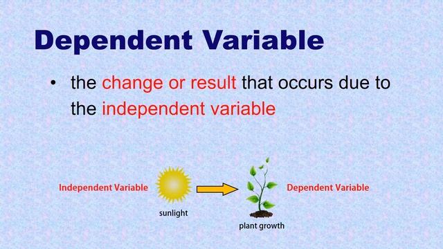 Dependent Variable Definition And Example