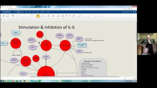 Dr. Bob Miller Interview with Dr. Lyn Patrick смотреть онлайн