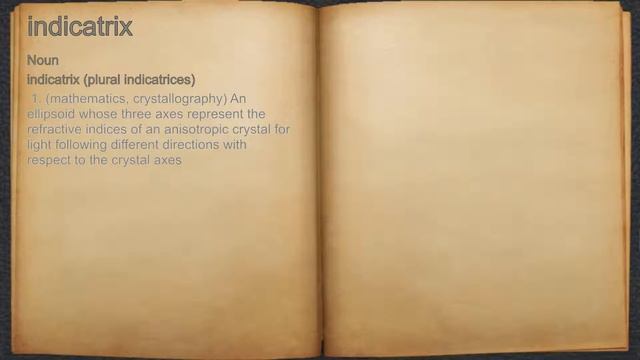What does indicatrix mean? смотреть онлайн