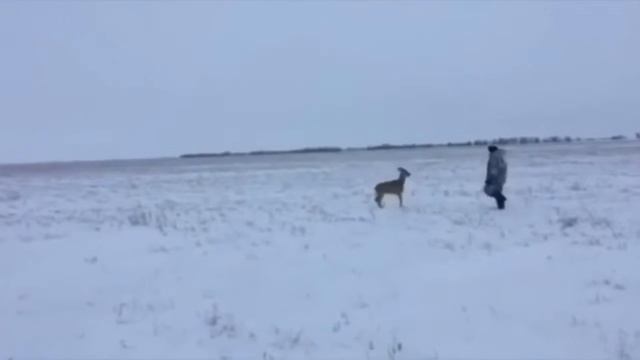 Приколи на охоті. смотреть онлайн