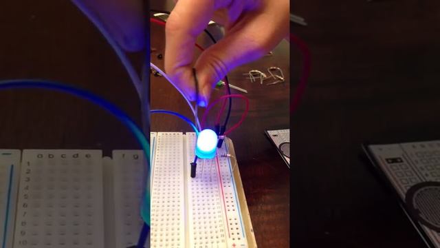 7 year-old Bella builds her first squeeze sensor with Ardui смотреть онлайн