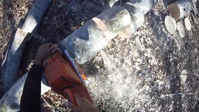 "Ported or Not" Husqvarna 394xp VS 394xp смотреть онлайн