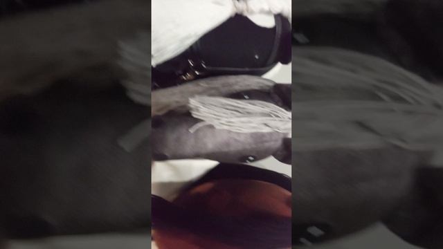 Хобби -Хорсинг.