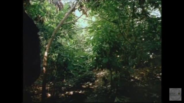 Biosphere 2: Story of the Original Design and Building told by Project CoFounders смотреть онлайн