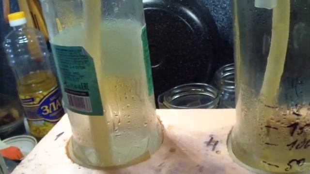 доработка сухопарника из стеклянной банки смотреть онлайн