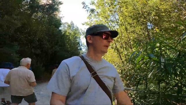 089.АВСТРАЛИЙСКАЯ ГЛУБИНКА.Steavenson Falls:100 км к северо-востоку от Мельбурна (Жизнь в Австралии смотреть онлайн