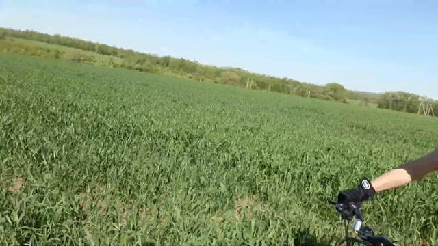 "Адаптация пчёл" - "Велосипеды" смотреть онлайн